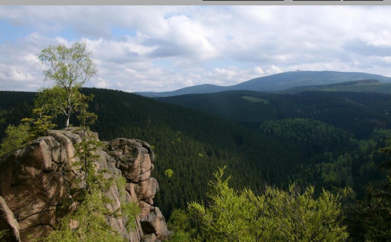 Walpurgis Hexe Apartment Braunlage Exterior photo