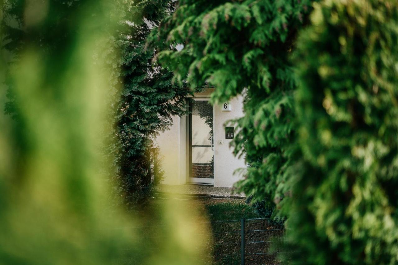 Walpurgis Hexe Apartment Braunlage Exterior photo